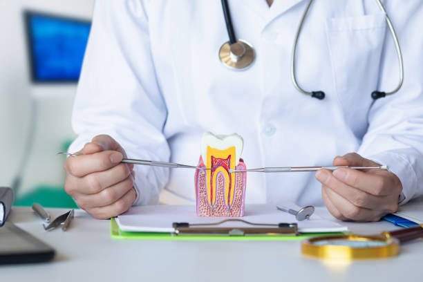 Best Emergency Dental Care for Broken or Chipped Teeth in Buna, TX